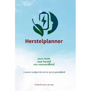 Afbeelding van Herstelplanner