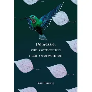 Afbeelding van Depressie, van overkomen naar overwinnen