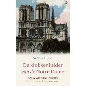 Afbeelding van De klokkenluider van de Notre-Dame