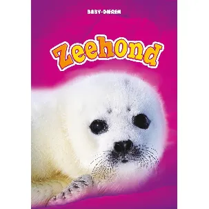 Afbeelding van Baby-dieren - Zeehond