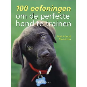 Afbeelding van 100 Oefeningen Om De Perfecte Hond Te Trainen