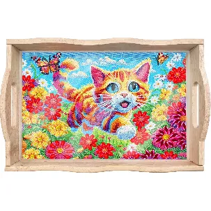 Afbeelding van Adorzy Diamond Painting Dienblad Kat XL – 35cm × 24,5 cm - Diamond Painting Volwassenen – Diamond Painting Volledig Pakket