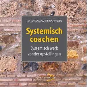 Afbeelding van Systemisch coachen