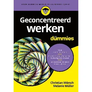 Afbeelding van Voor Dummies - Geconcentreerd werken voor Dummies