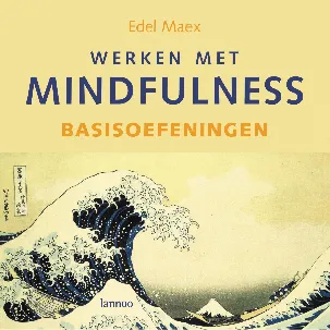 Afbeelding van Werken met mindfulness Basisoefeningen