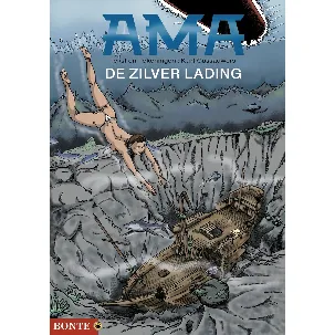 Afbeelding van De zilver lading