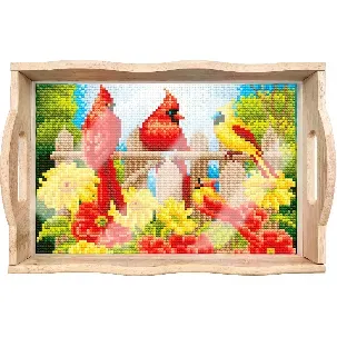 Afbeelding van Adorzy Diamond Painting Dienblad Vogels – Diamond Painting Volwassenen – Diamond Painting Volledig Pakket - DIY Pakket