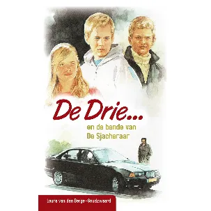 Afbeelding van De Drie - De Drie en de bende van de Sjacheraar