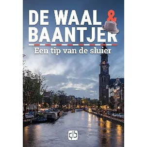 Afbeelding van Een tip van de sluier