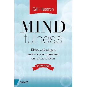 Afbeelding van Mindfulness pocketboek