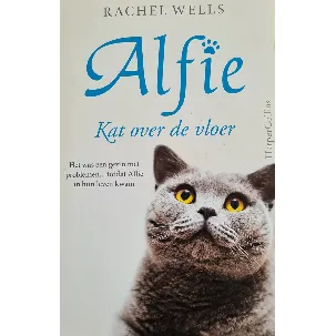 Afbeelding van Alfie, Kat over de vloer