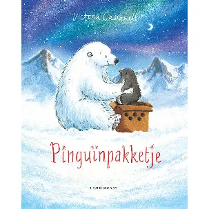 Afbeelding van Pinguinpakketje