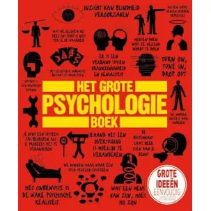 Afbeelding van Het grote psychologieboek