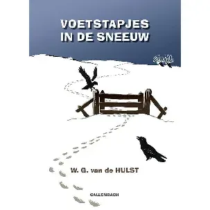 Afbeelding van Voetstapjes in de sneeuw