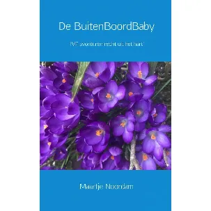 Afbeelding van De BuitenBoordBaby