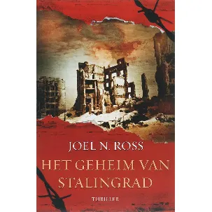 Afbeelding van Het geheim van Stalingrad