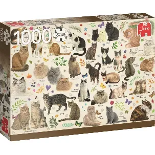 Afbeelding van Jumbo Premium Collection Puzzel Franciens Katten - Legpuzzel - 1000 stukjes