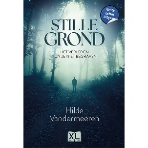 Afbeelding van Stille grond - Grote Letter Uitgave