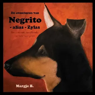 Afbeelding van De avonturen van Negrito