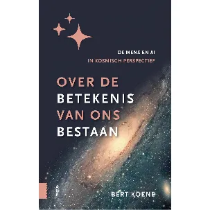 Afbeelding van Over de betekenis van ons bestaan