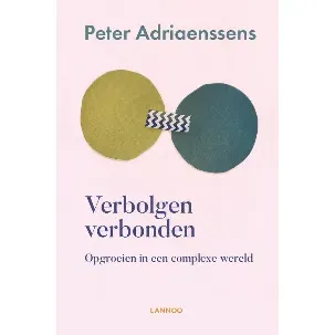 Afbeelding van Verbolgen verbonden