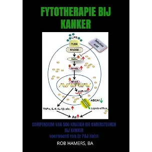Afbeelding van Fytotherapie bij Kanker