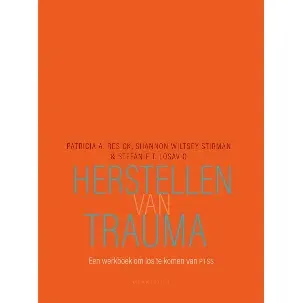 Afbeelding van Herstellen van trauma