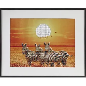 Afbeelding van Diamond painting | Zebra | Afmeting: 40 x 50 CM | Inclusief diamond painting pen | Diamond painting volwassenen