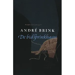 Afbeelding van De Bidsprinkhaan