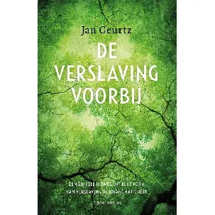 Afbeelding van De verslaving voorbij