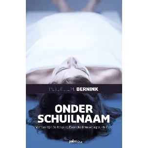 Afbeelding van Onder schuilnaam