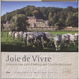 Afbeelding van Joie de vivre