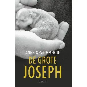 Afbeelding van De grote Joseph