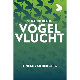 Afbeelding van Veranderen in vogelvlucht