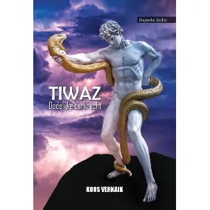 Afbeelding van TIWAZ