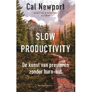 Afbeelding van Slow productivity