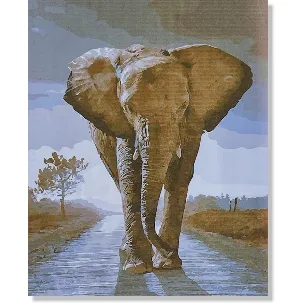 Afbeelding van Cards & Crafts Olifant Schilderen Op Nummer met Frame 40x50cm - Painting by Numer - DIY schilder pakket