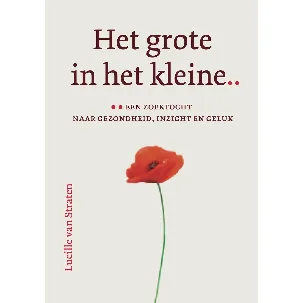 Afbeelding van Het grote in het kleine