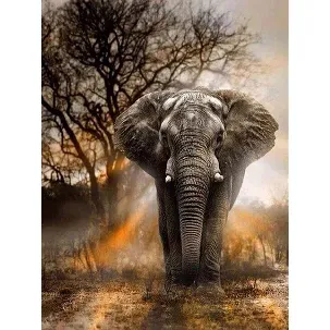 Afbeelding van Rubye® Diamond Painting Volwassenen - Diamond Painting Kinderen - Olifant - 30x40cm