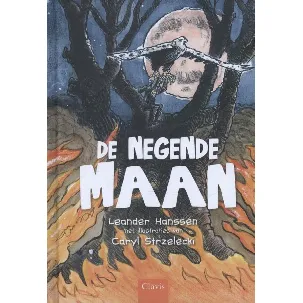 Afbeelding van De negende maan