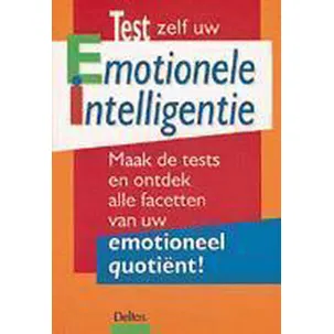 Afbeelding van Test zelf uw emotionele intelligentie - G. d'Ambra