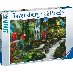 Afbeelding van Ravensburger puzzel Bonte papegaaien in de jungle - legpuzzel - 2000 stukjes