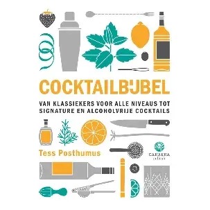 Afbeelding van Cocktailbijbel