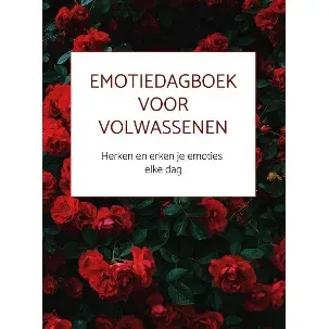 Afbeelding van Emotiedagboek voor volwassenen