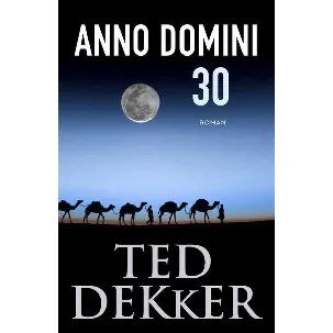 Afbeelding van Anno Domini 30