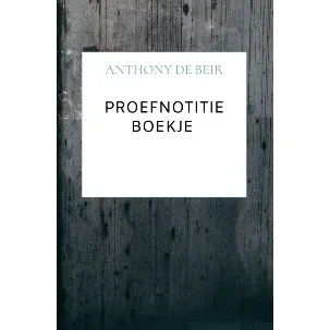 Afbeelding van Proefnotitie Boekje