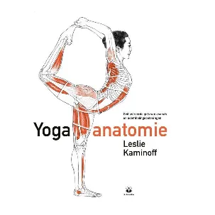 Afbeelding van Yoga anatomie