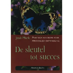 Afbeelding van De Sleutel Tot Succes