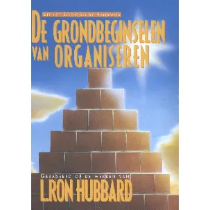 Afbeelding van De grondbeginselen van organiseren