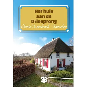 Afbeelding van Het huis aan de driesprong